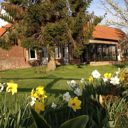 Chambres D'Hotes La Rivierette Caours Dış mekan fotoğraf